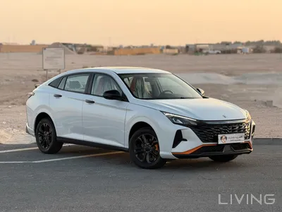 Dongfeng Shine  2026
